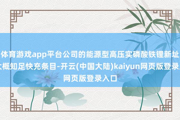 体育游戏app平台公司的能源型高压实磷酸铁锂新址品大概知足快充条目-开云(中国大陆)kaiyun网页版登录入口